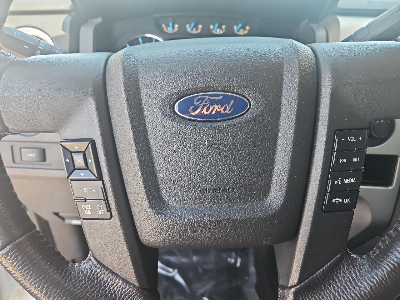 Ford F-150 4WD SuperCrew 145" Platinum 2013