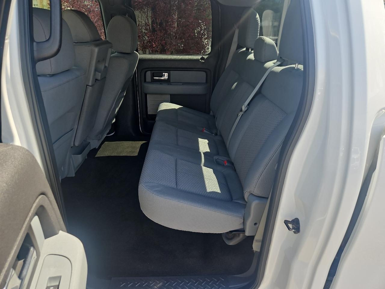 Ford F-150 4WD SuperCrew 145" Platinum 2013