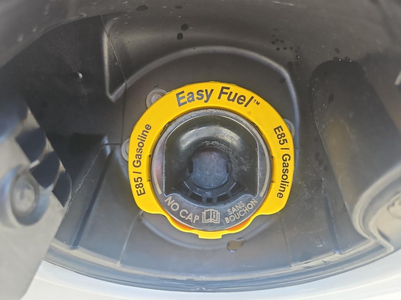 Ford F-150 4WD SuperCrew 145" Platinum 2013