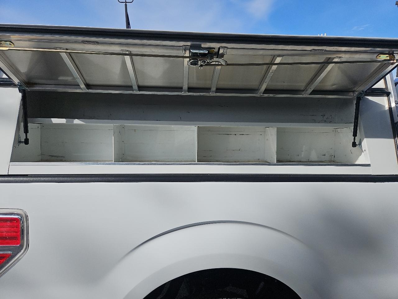 Ford F-150 4WD Reg Cab 126" STX 2014
