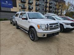 2010 Ford F-150 