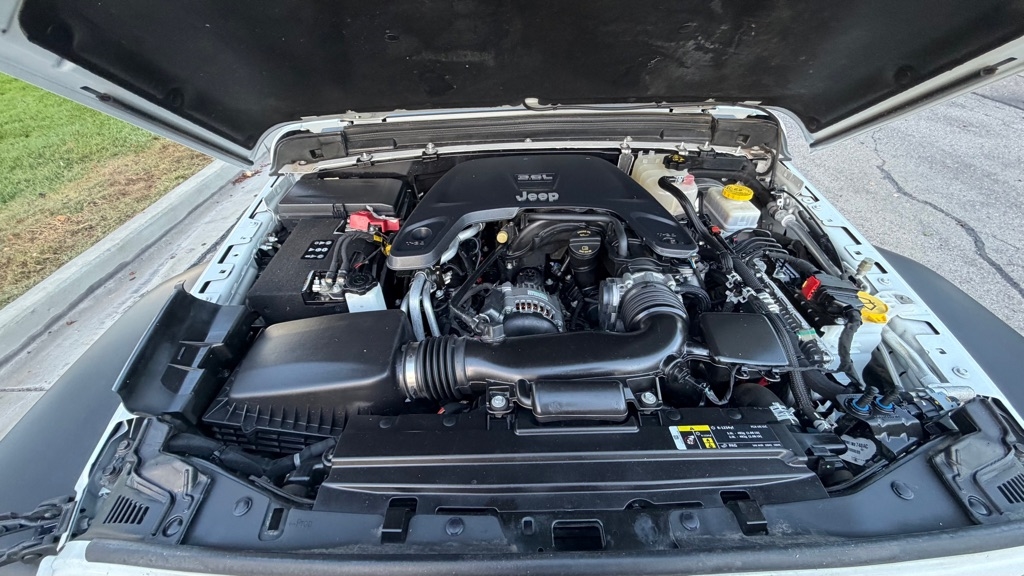 Jeep Wrangler Black and Tan 2020