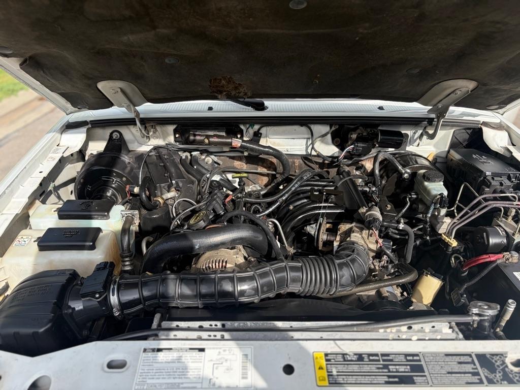 Ford Ranger XL 2002
