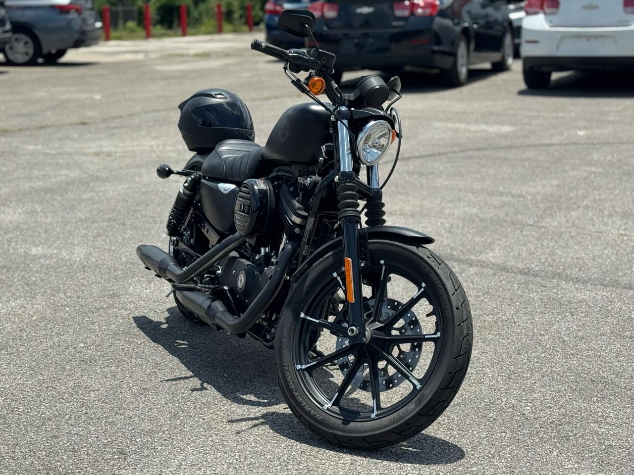 Harley-Davidson Sportster 883  2021