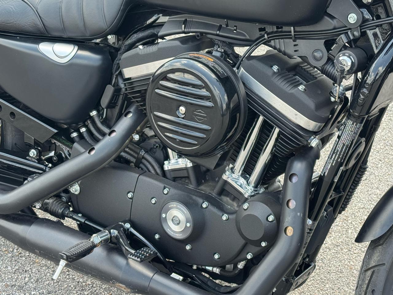 Harley-Davidson Sportster 883  2021