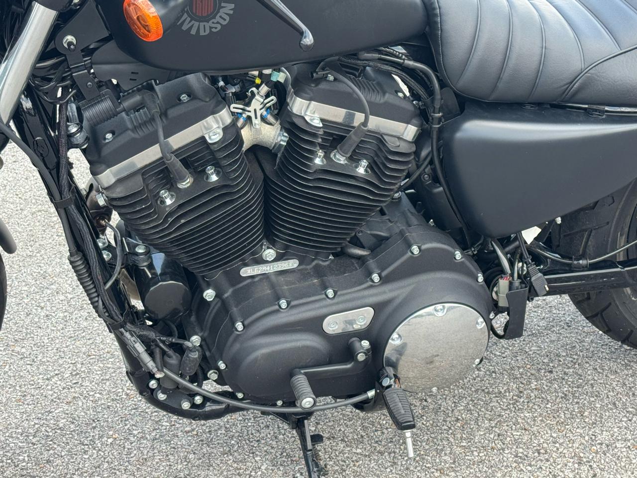 Harley-Davidson Sportster 883  2021