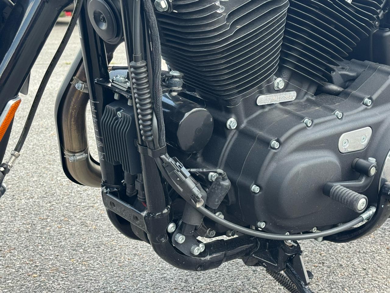 Harley-Davidson Sportster 883  2021