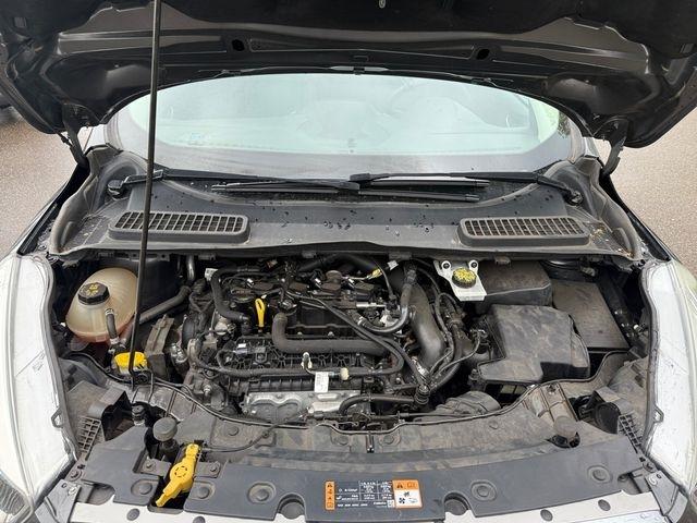 Ford Escape  2019