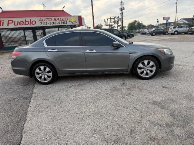 Honda Accord  2010