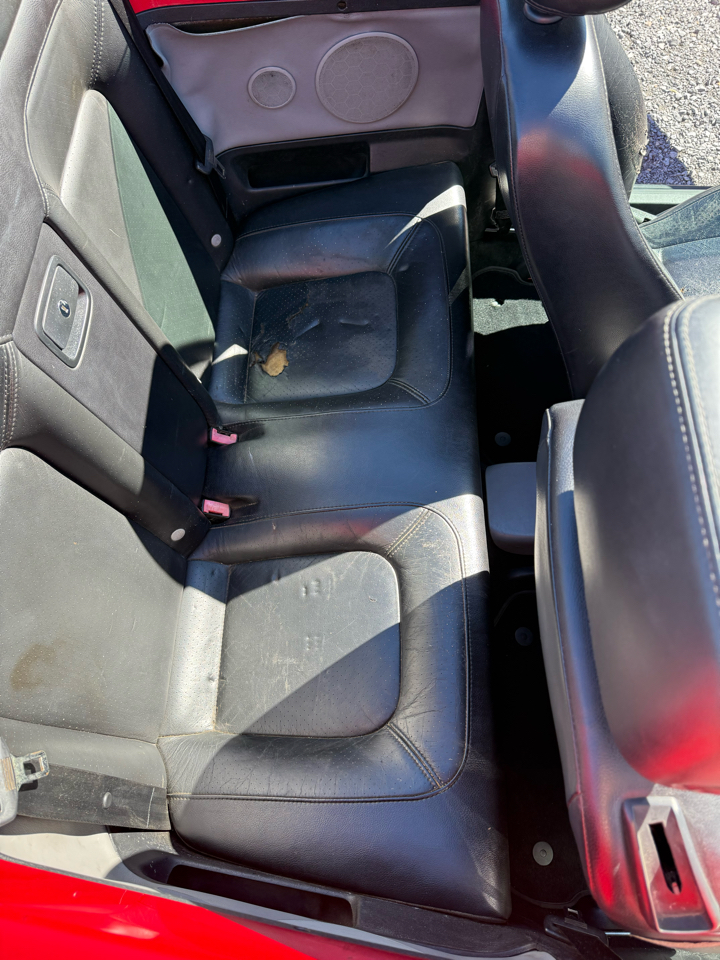 Volkswagen New Beetle GLS 2.0L Convertible 2004 Volkswagen New Beetle GLS 2.0L Convertible 2004