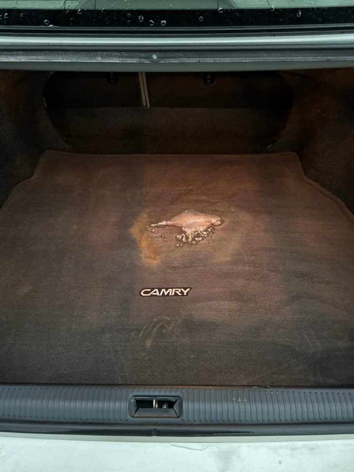 Toyota Camry Standard 2006