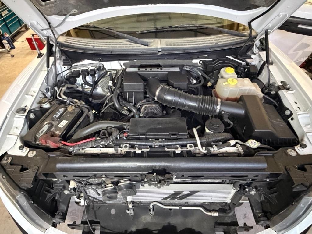 Ford F-150 SVT Raptor SuperCrew 5.5-ft. Bed 4WD 2014