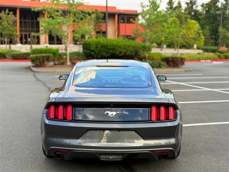 Ford Mustang EcoBoost Coupe 2015 Ford Mustang EcoBoost Coupe 2015