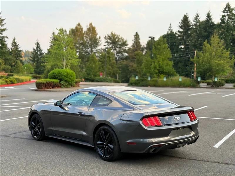 Ford Mustang EcoBoost Coupe 2015 Ford Mustang EcoBoost Coupe 2015