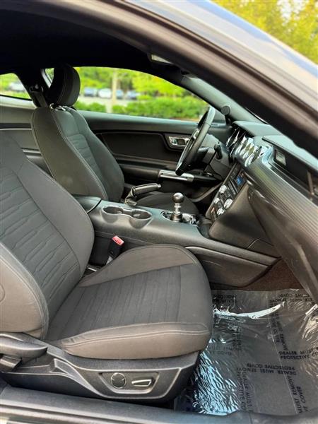 Ford Mustang EcoBoost Coupe 2015 Ford Mustang EcoBoost Coupe 2015