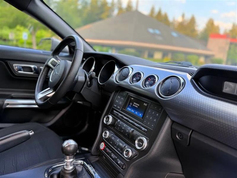 Ford Mustang EcoBoost Coupe 2015 Ford Mustang EcoBoost Coupe 2015