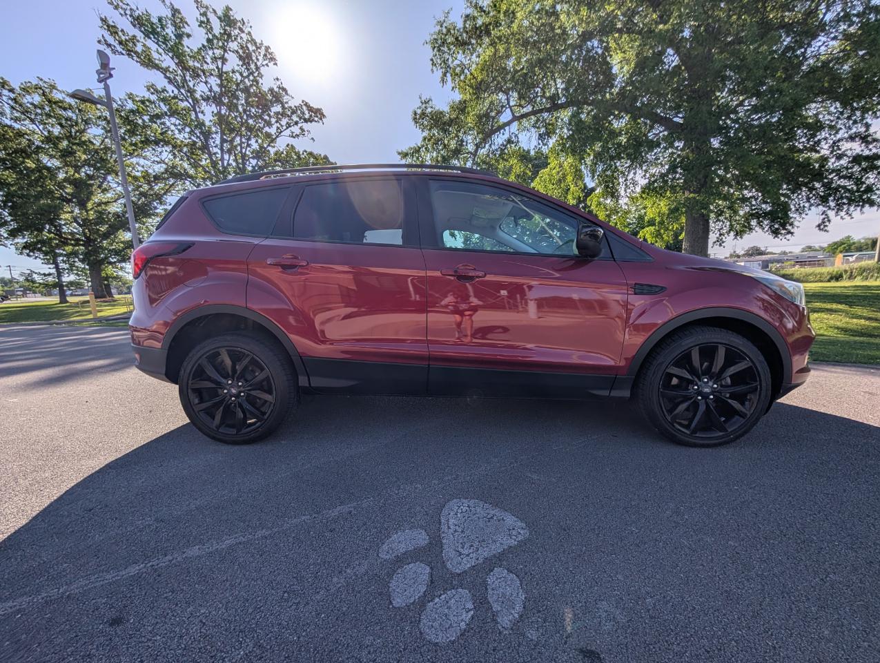 Ford Escape SE FWD 2019