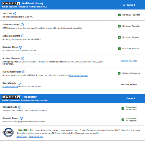 Ford Econoline Cargo Van  2013