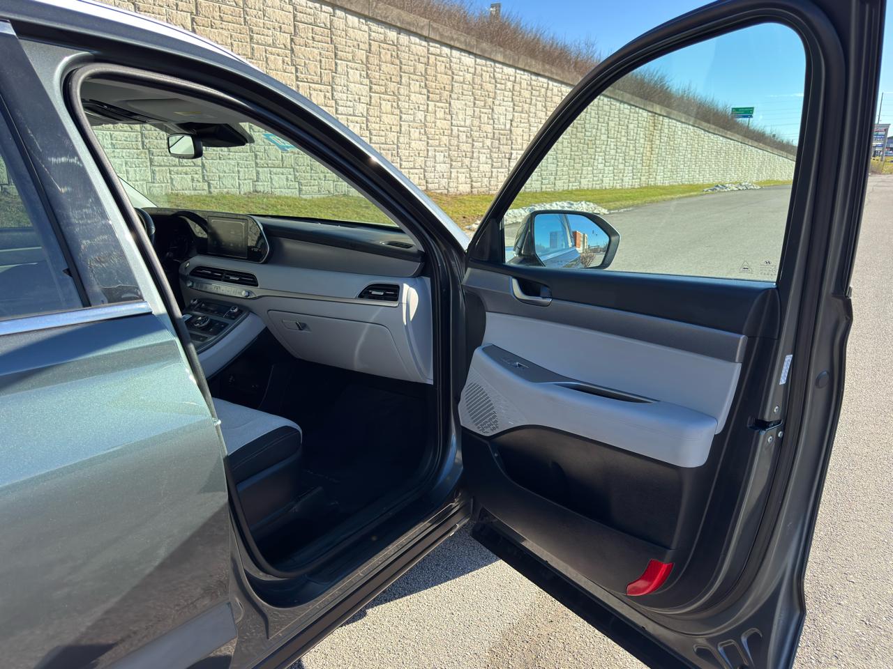 Hyundai Palisade  2020