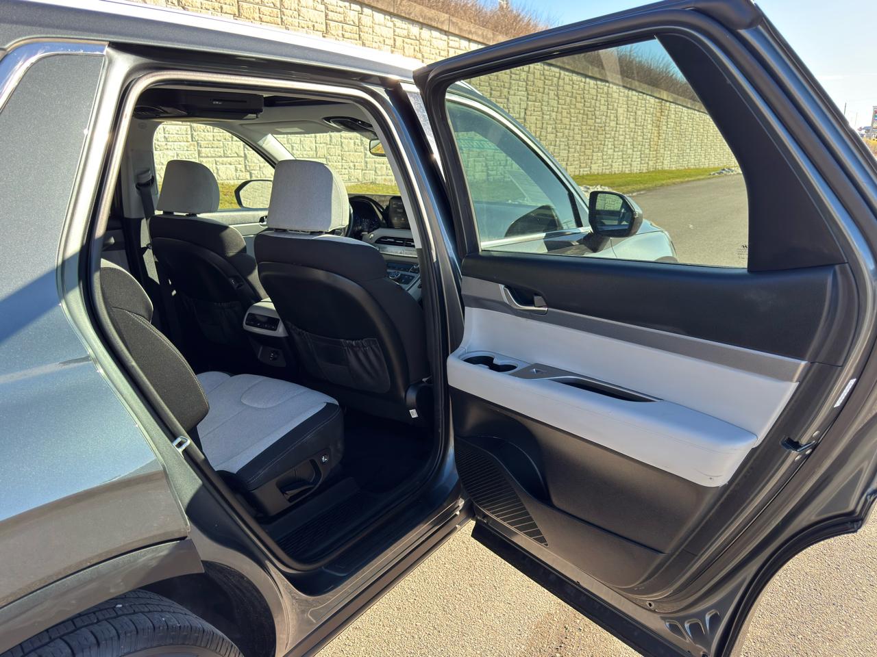 Hyundai Palisade  2020