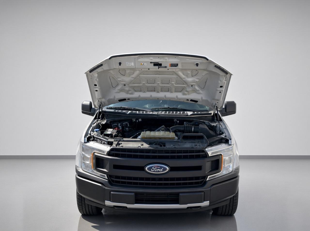 Ford F-150  2019