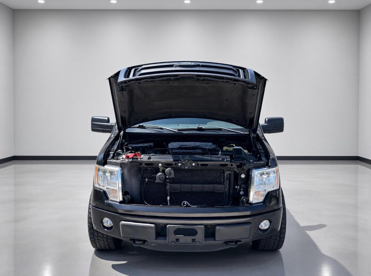 Ford F-150  2014