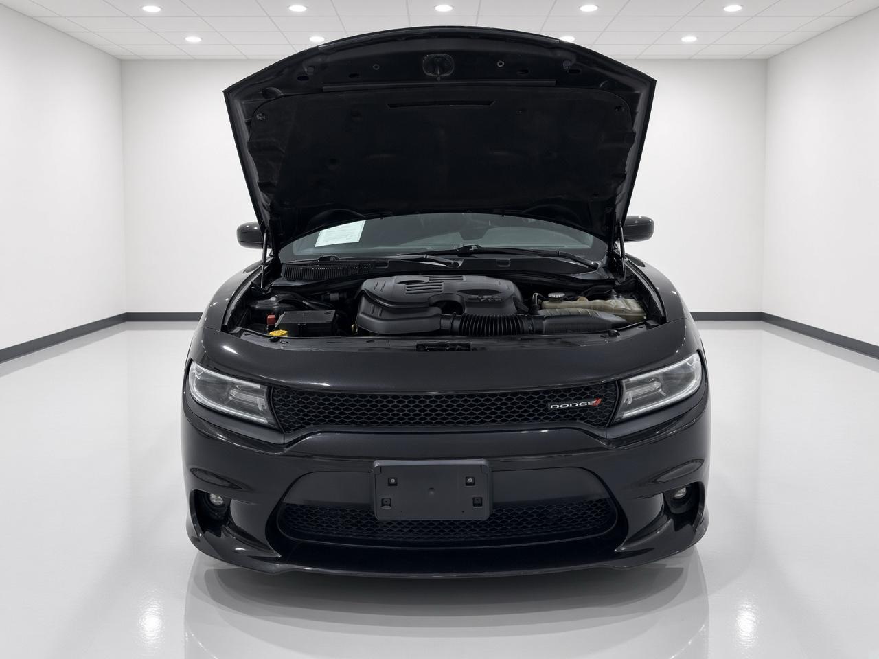 Dodge Charger  2019