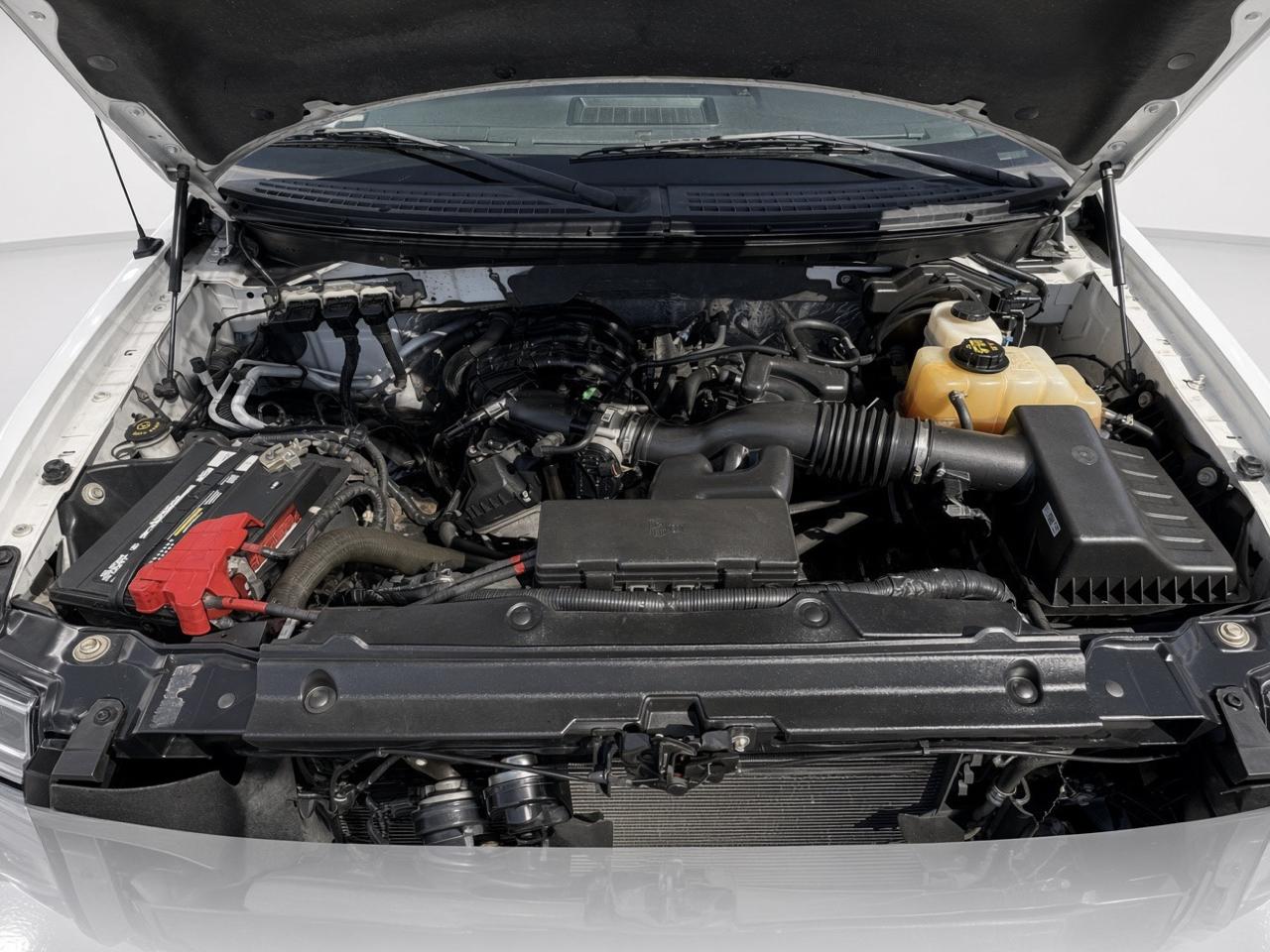 Ford F-150  2013