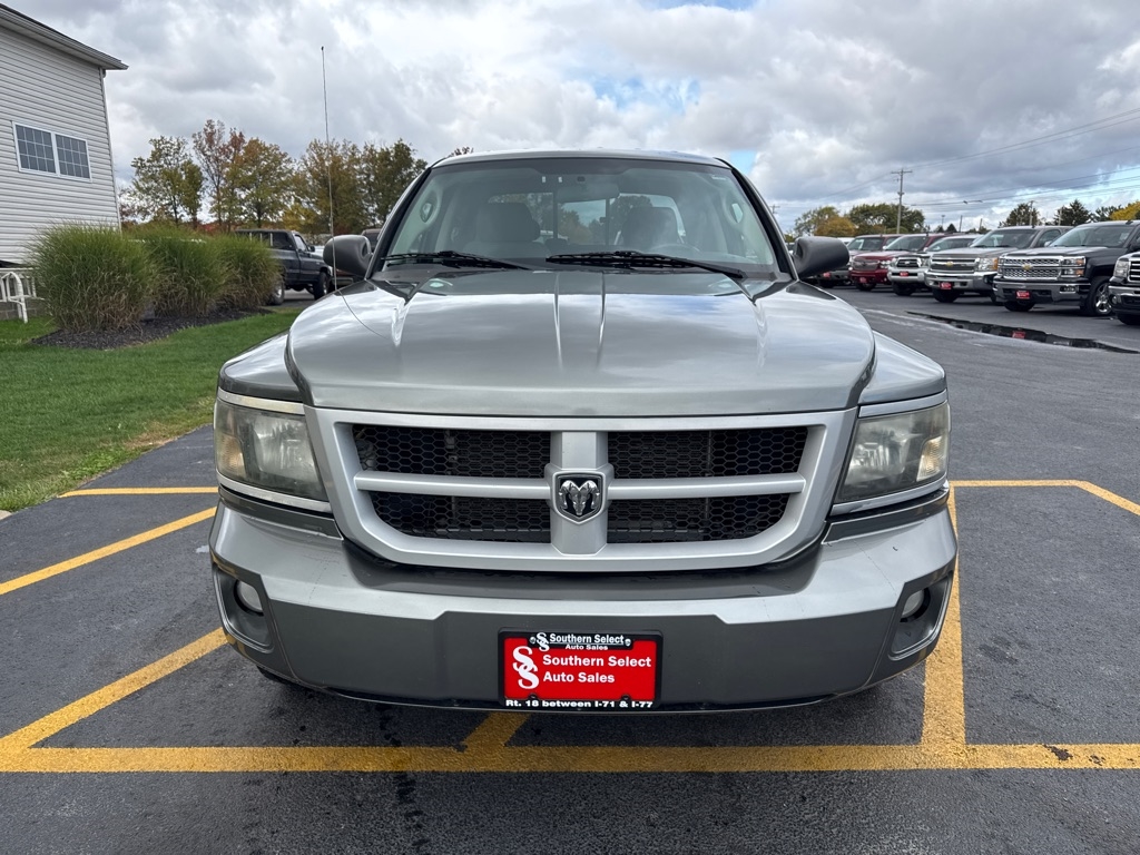 2010 Dodge Dakota SXT photo 4