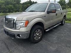 2010 Ford F-150 