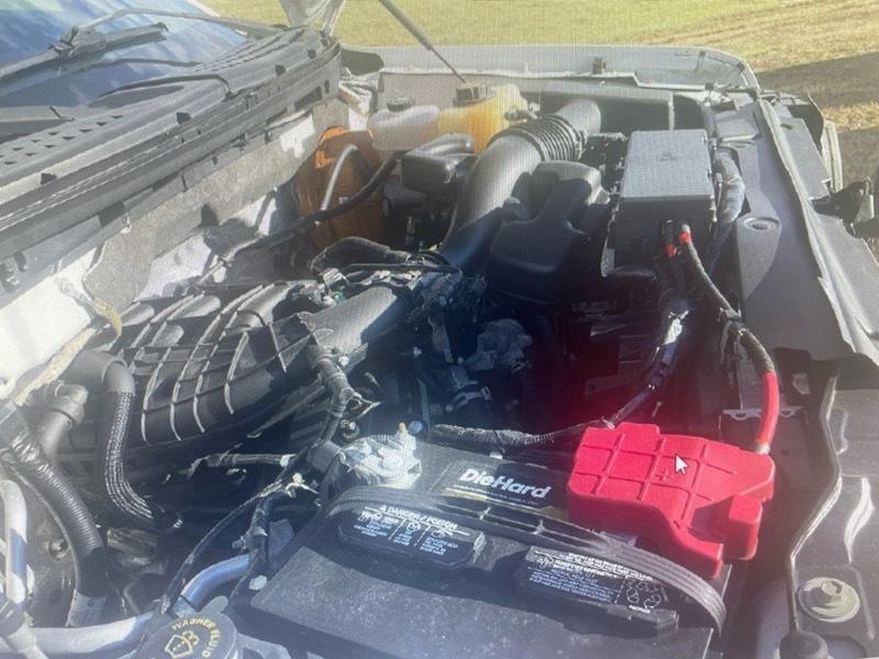 Ford F-150 2WD Reg Cab 122.5" XL 2011