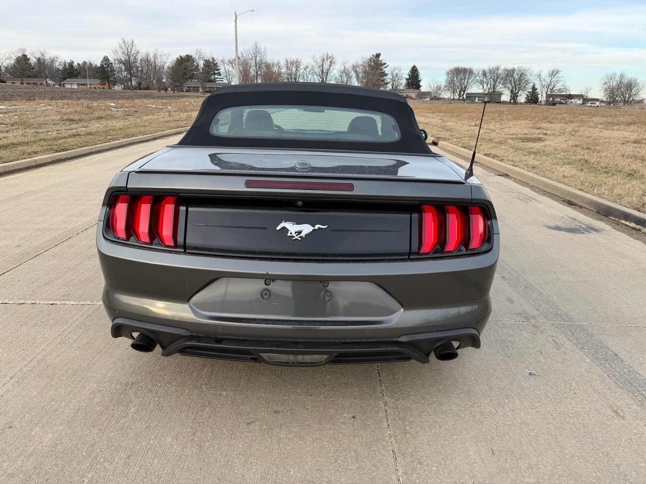 Ford Mustang EcoBoost Convertible 2019