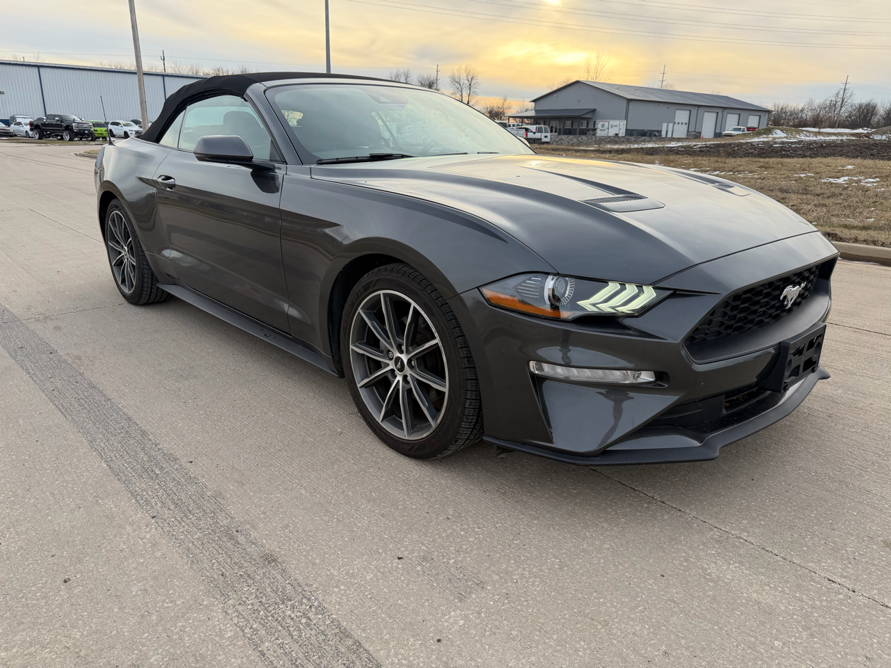 Ford Mustang EcoBoost Convertible 2019