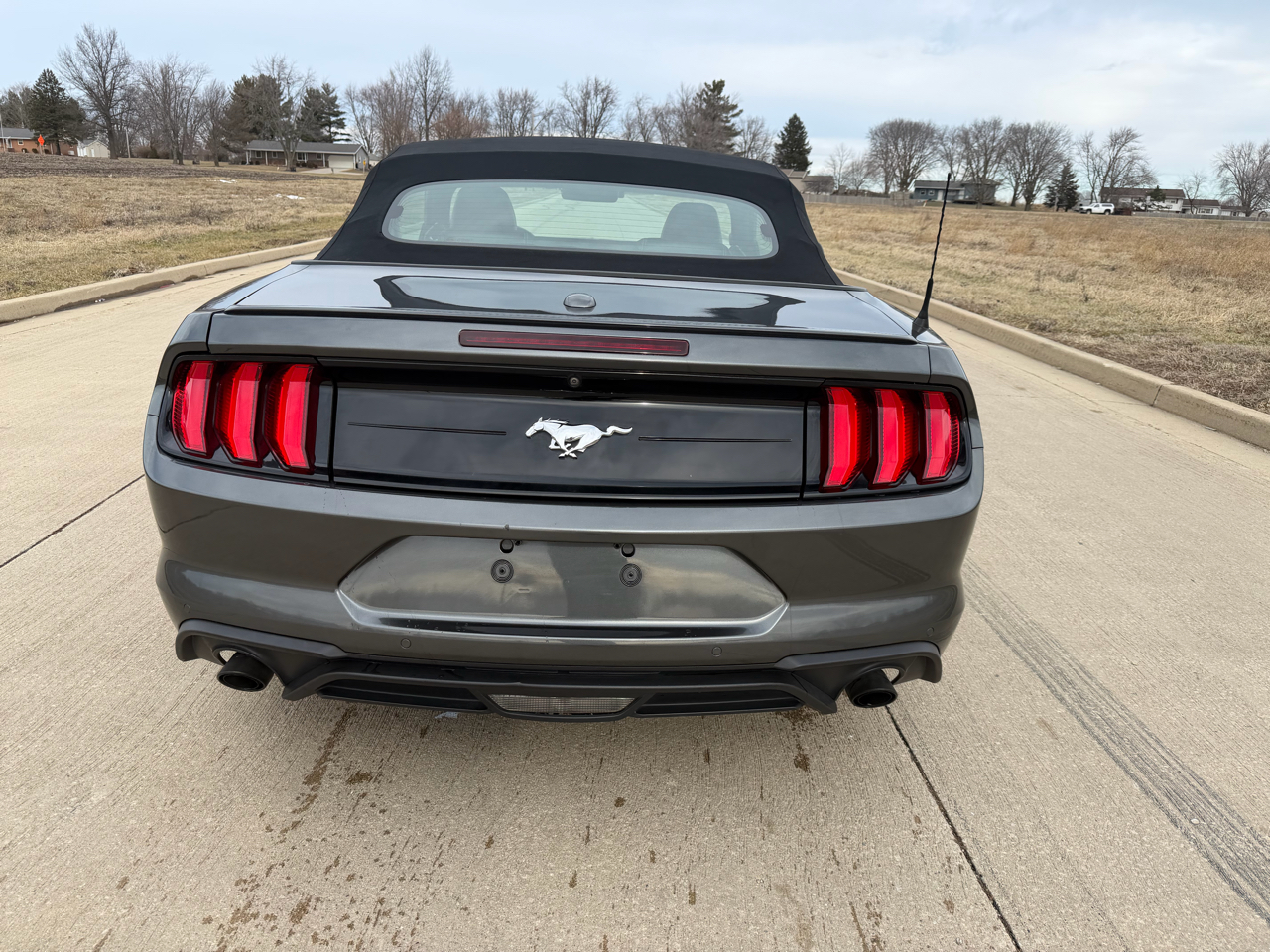 Ford Mustang EcoBoost Convertible 2019