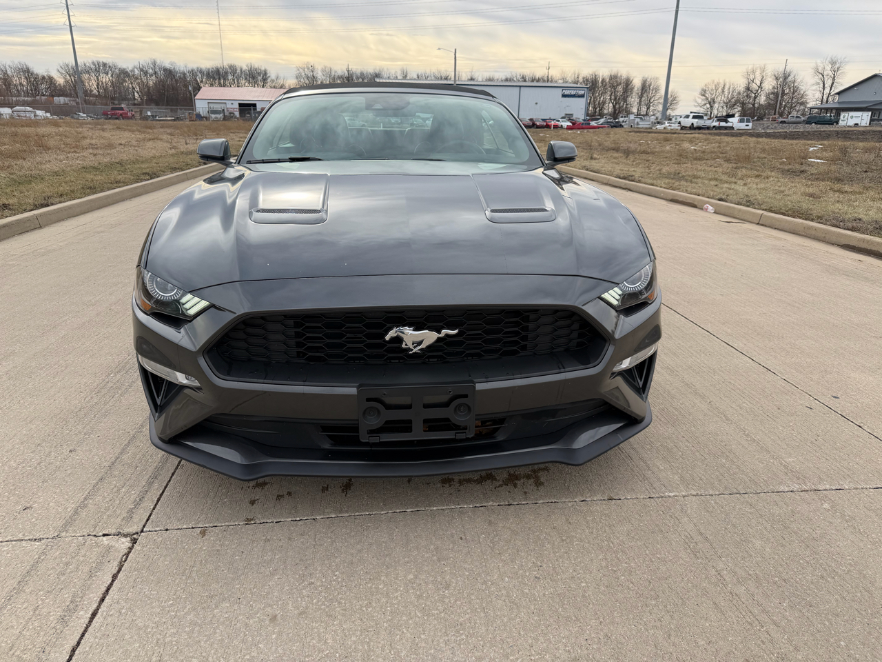 Ford Mustang EcoBoost Convertible 2019