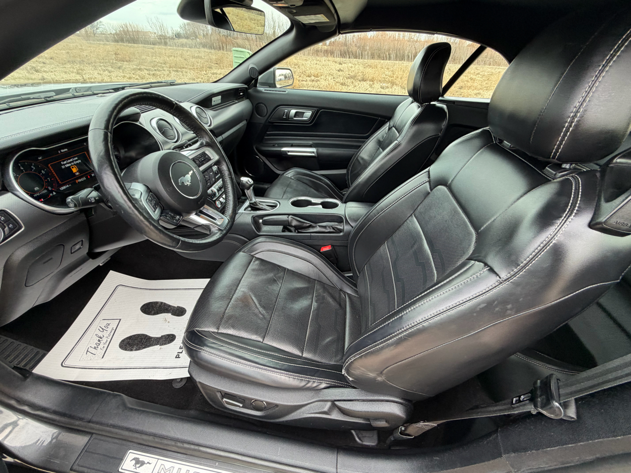 Ford Mustang EcoBoost Convertible 2019