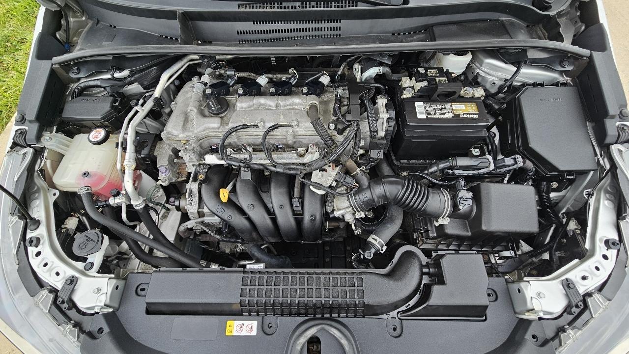 Toyota Corolla LE CVT (Natl) 2020