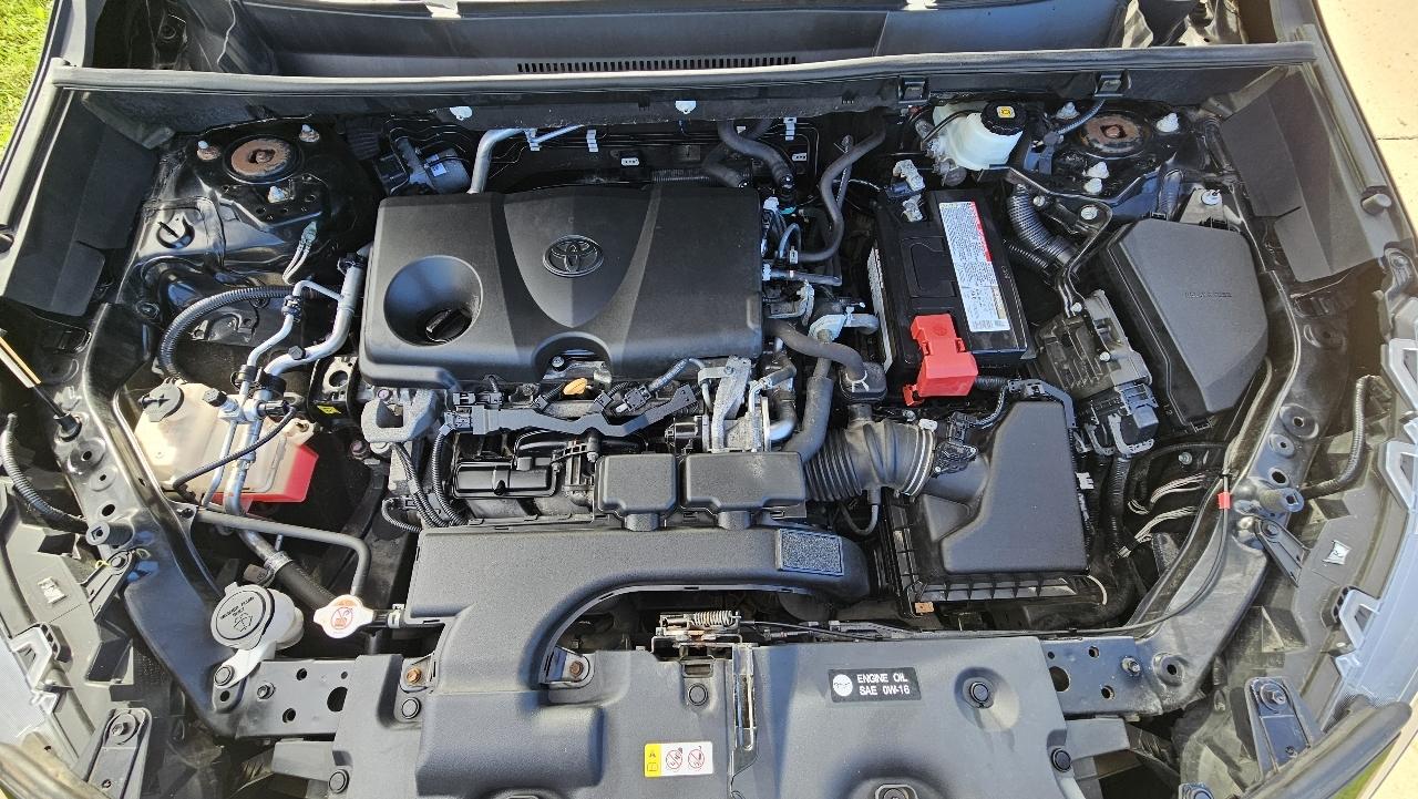 Toyota RAV4 LE AWD (Natl) 2019