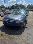 2004 Acura TL  2004 Acura TL