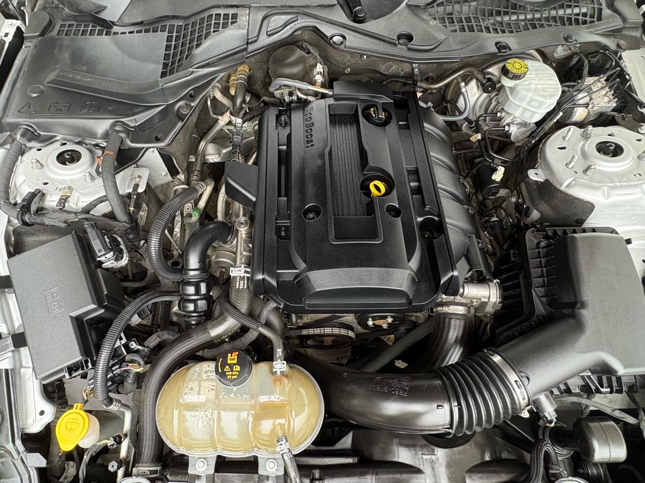 Ford Mustang EcoBoost Coupe 2018