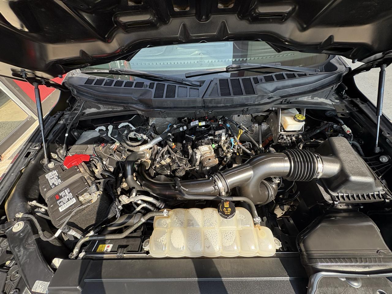 Ford F-150 XL SuperCrew 6.5-ft. Bed 4WD 2021
