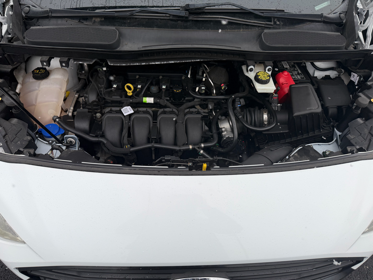 Ford Transit Connect Van XL LWB w/Rear Symmetrical Doors 2019