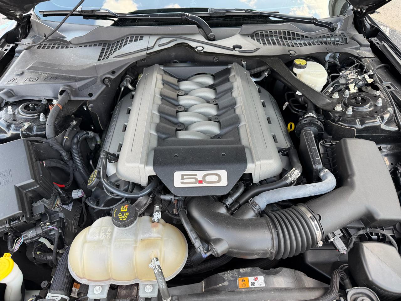 Ford Mustang 2dr Fastback GT 2016