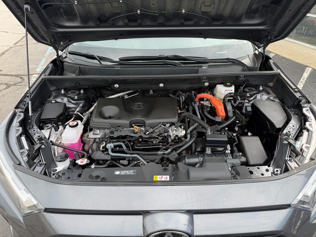 Toyota RAV4 Hybrid XLE AWD (Natl) 2025