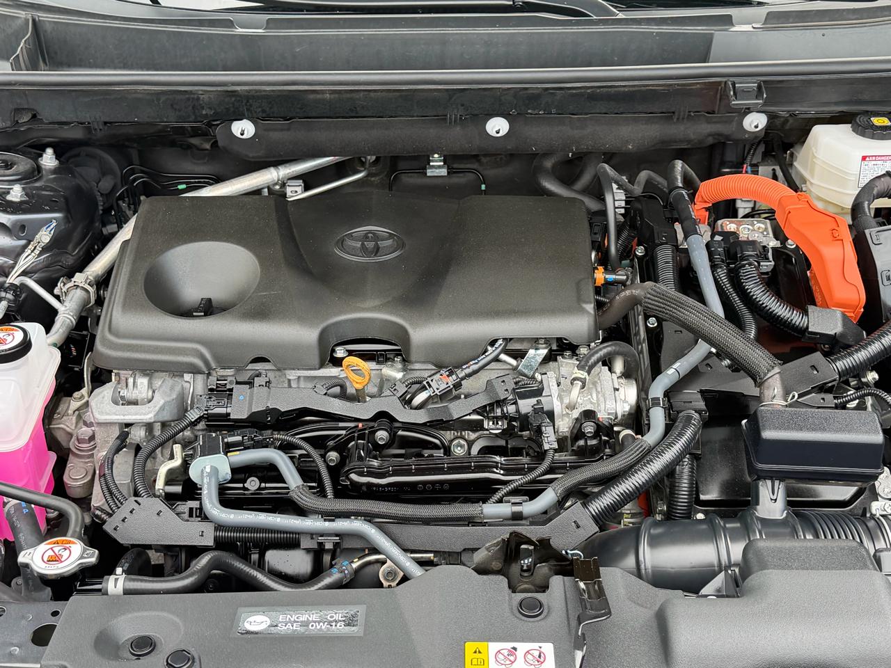 Toyota RAV4 Hybrid XLE AWD (Natl) 2025