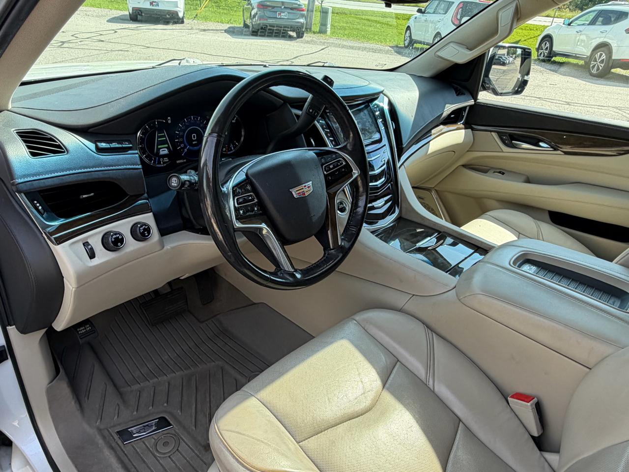 Cadillac Escalade 4WD 4dr Luxury 2019