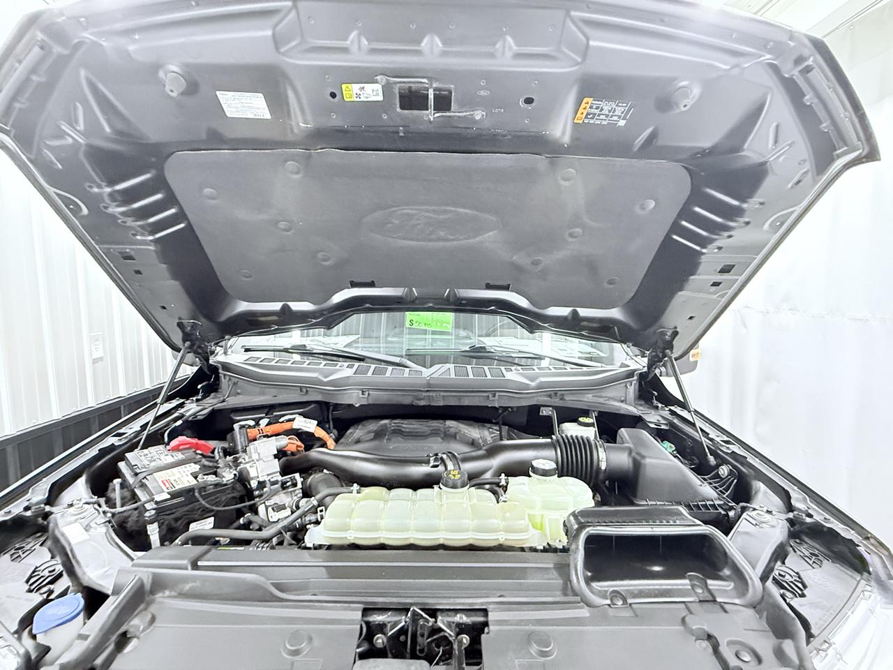 Ford F-150 Lariat 4WD SuperCrew 6.5' Box 2021
