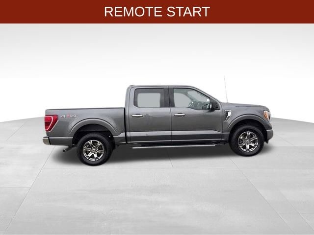 Ford F-150 XLT SuperCrew 4WD 2023