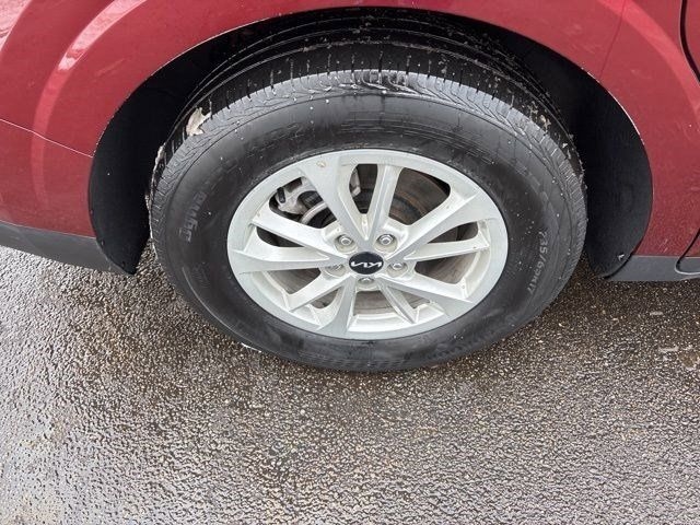 Kia Carnival LX 2024