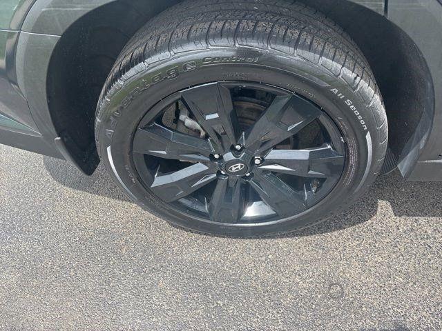 Hyundai Palisade  2024